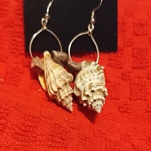 Seashell Dangle Earrings